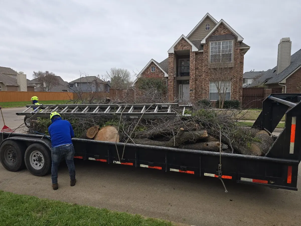 Expert Tree Removal with proper safety equipment in Zachary